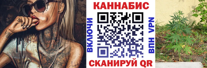 kraken как войти  Арсеньев  Каннабис SATIVA & INDICA  где продают  